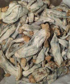 Magic Mushroom(Melmac)