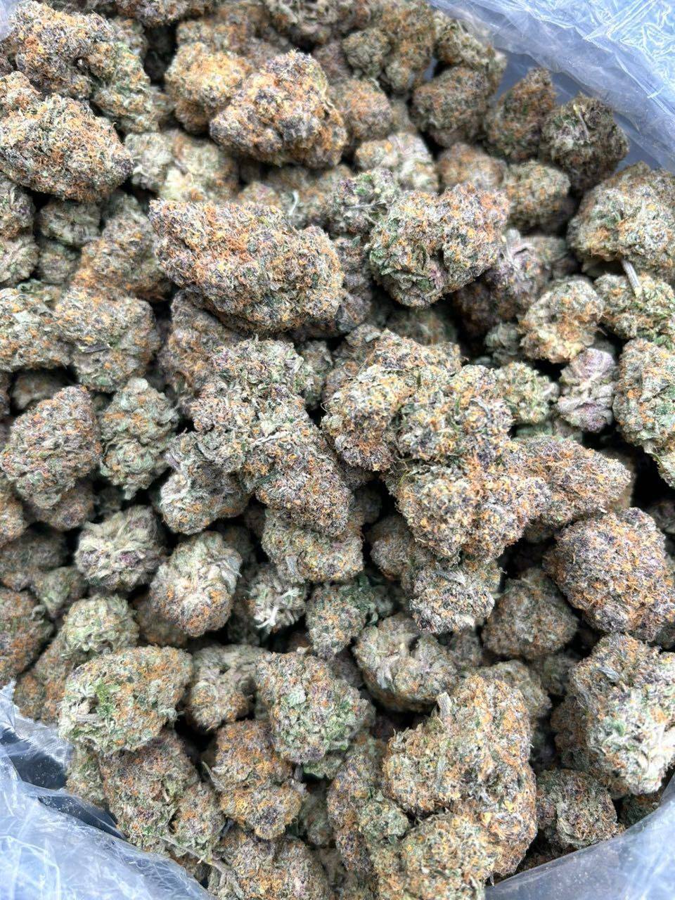 Frosted GMO ( Cali Mids )